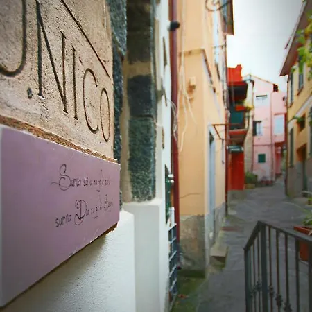 Guest house Unico *